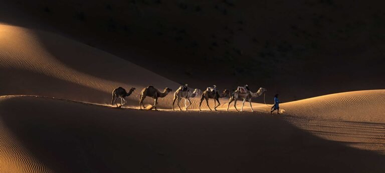 Morocco Sahara landscape