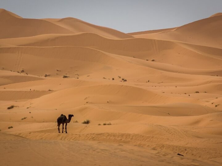 Private 3-Day Marrakech to Merzouga Desert Tour