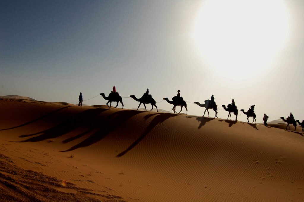 Camel caravan crossing the Moroccan Sahara dunes