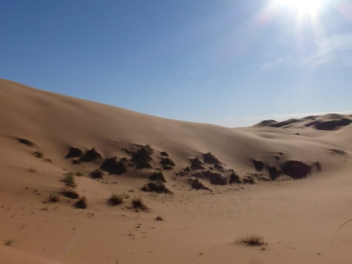 2-Day Zagora Desert Tour from Marrakech