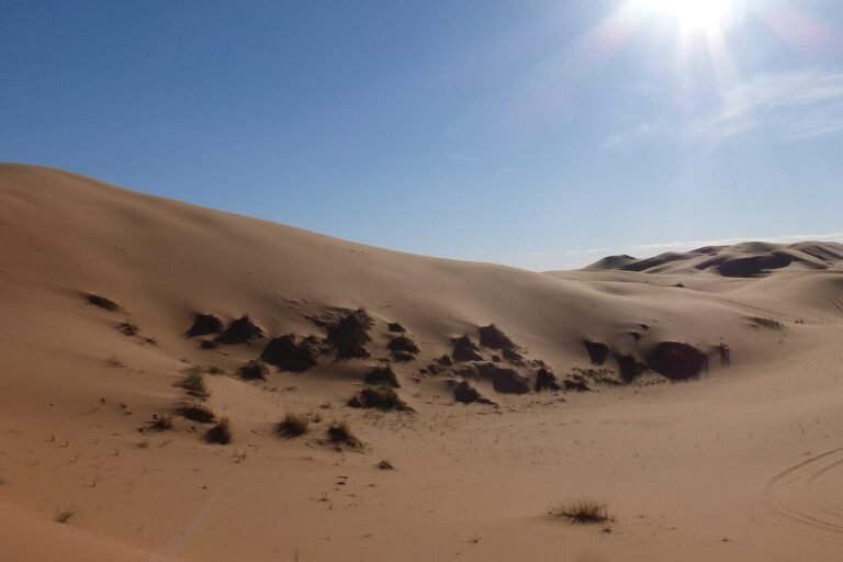 Sahara dunes beside Erg Chebbi in Morocco