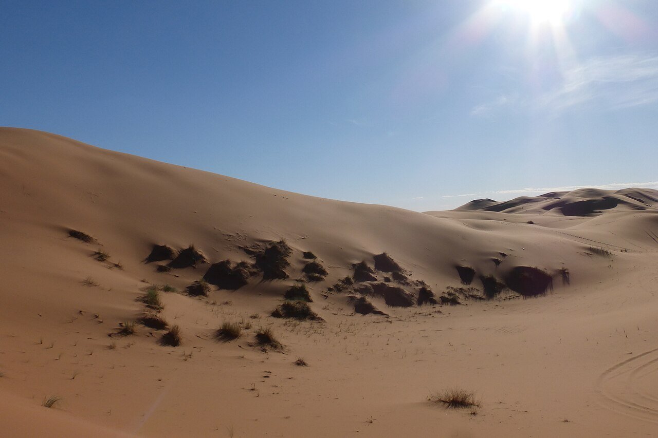 2-Day Zagora Desert Tour from Marrakech
